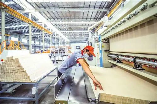 永川 奮力建設現代制造業與西部職業教育新高地